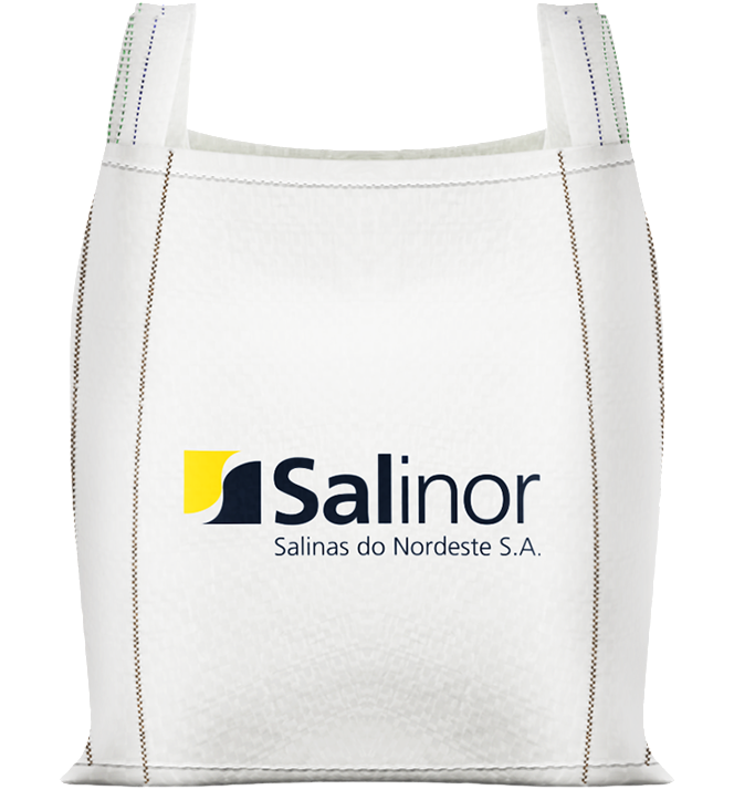 Salinor uma tonelada